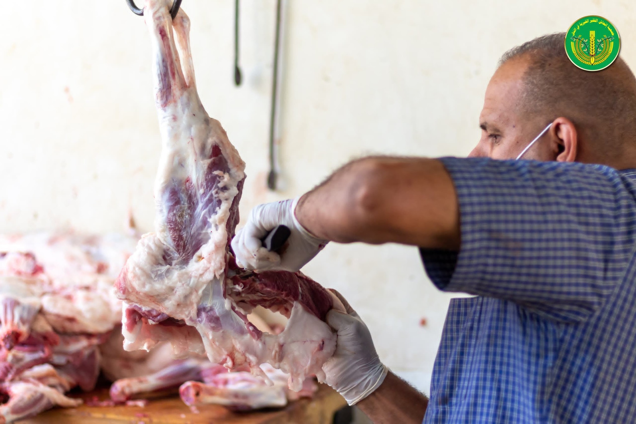 قامت جمعية إنعاش الفقير الخيرية بتوزيع " 4502 " قطعة لحم.